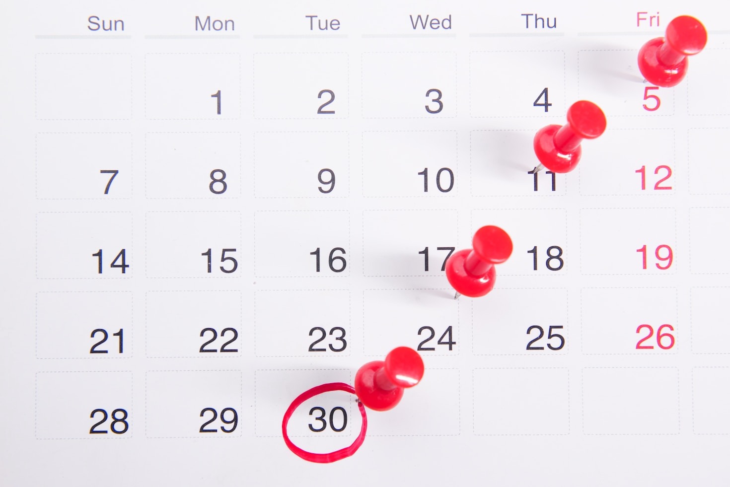 How Seasonal Shifts Influence Human Behavior